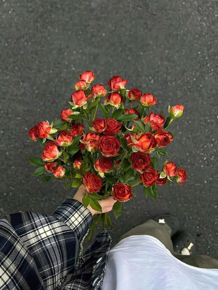 Bài Thi Cuối Cùng Của Trái Tim